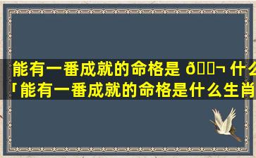 能有一番成就的命格是 🐬 什么「能有一番成就的命格是什么生肖」